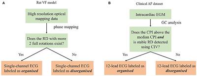 Classification of Fibrillation Organisation Using Electrocardiograms to Guide Mechanism-Directed Treatments